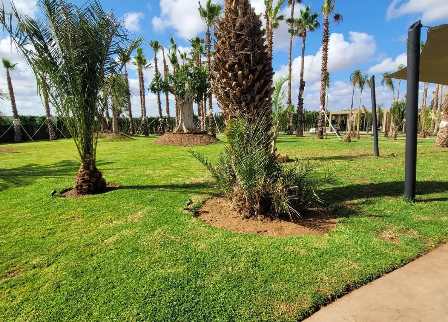 Villa Oxygene Marrakech Marrakesh 0*,